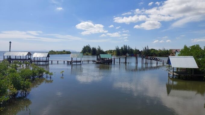 Half Day Kayak Guided Tour to the Green Mangroves Forest - Meeting Location