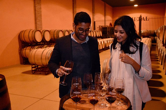 Half Day Rioja Wine Tour - Personalized and Private