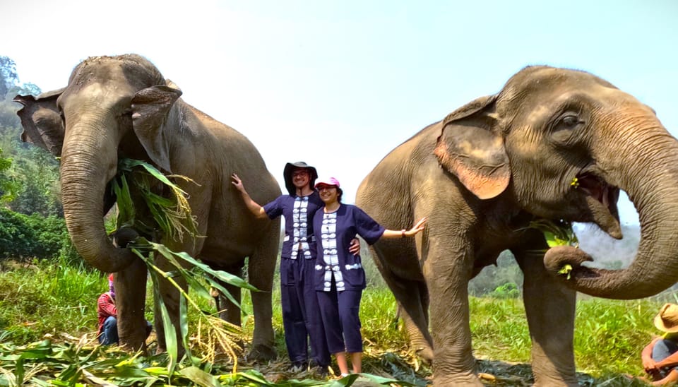 Half-Day Visit at CHIANGMAI ELEPHANT CARE Program (8am-1pm) - Participant Age Groups