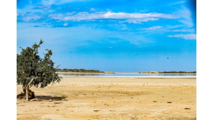 Half-Day Wild Safari in Yala National Park - Important Information and Policies