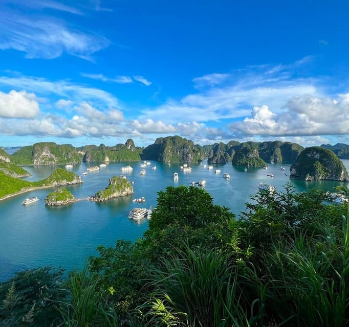 Halong Full Day Cruise: Kayak, Cave, Lunch, Beach & Island - Customer Feedback