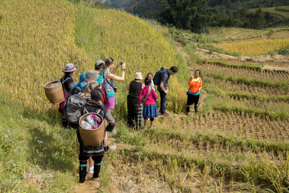 Hanoi - Sa Pa 2 Day Trip Ethnic Homestay Tour With Trekking - Preparation Tips