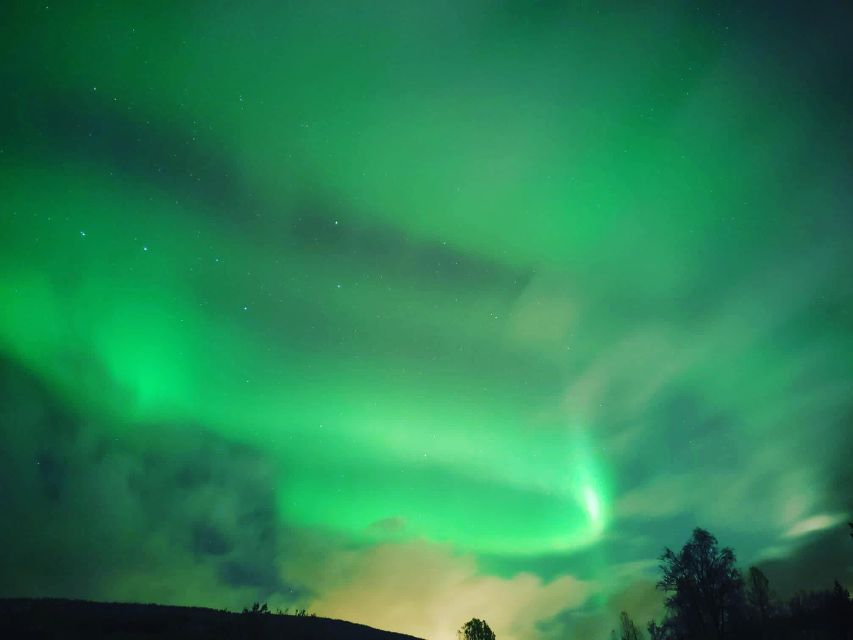 Harstad/Narvik/Tjeldsund: Northern Lights Sightseeing by Car - What to Expect