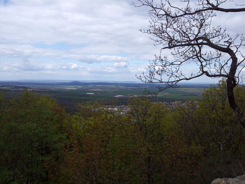 Harz Mountains Day Trip - Transportation and Accessibility