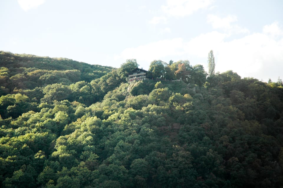 Heidelberg and Rhine Combination Tour From Frankfurt - Minimum Participants