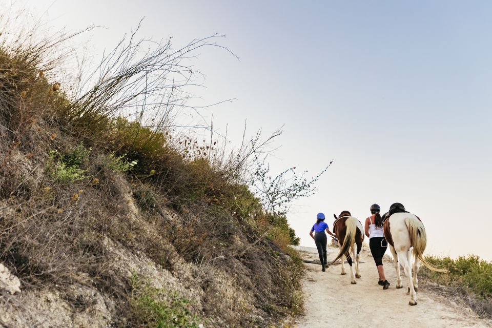 Heraklion: Finikia Horse Riding Tour With Lunch or Dinner - Participant Requirements