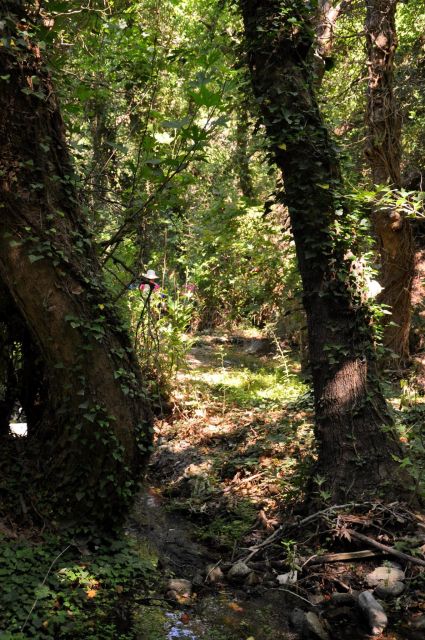 Heraklion: Private Tour to Rihti Waterfalls and Mochlos - Exploring Rihti Waterfalls