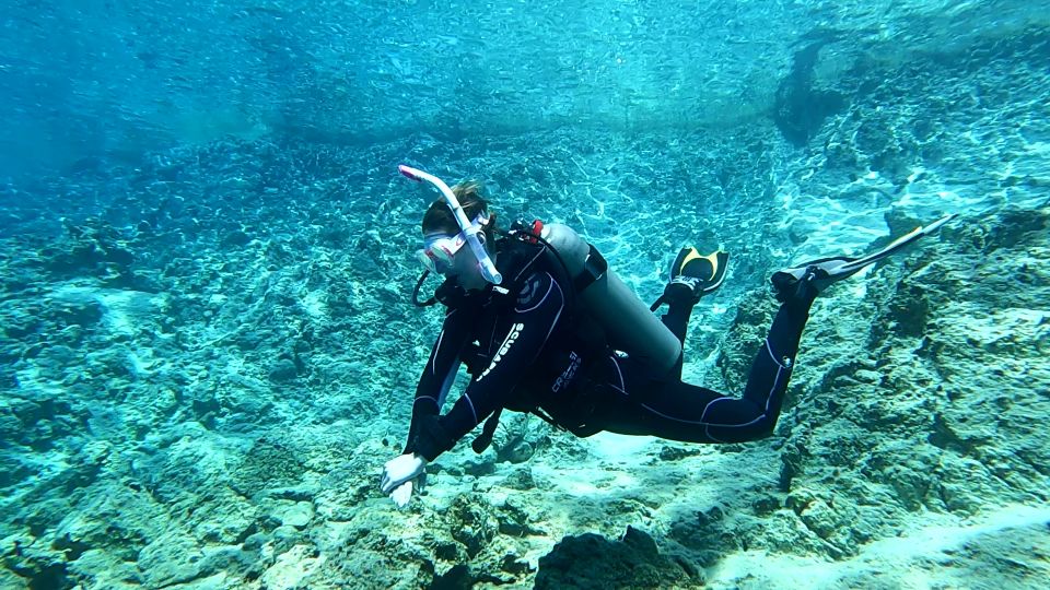 Heraklion: Scuba Diving Trip for Beginners - Customer Feedback