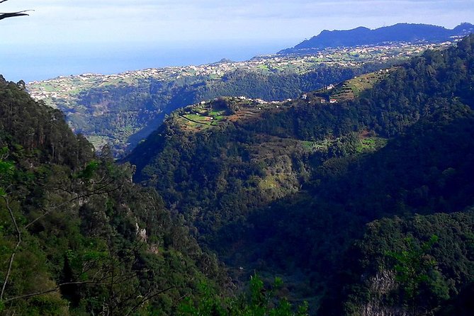 Hidden Corners: Levada Walk From Funchal - Traveler Ratings and Reviews