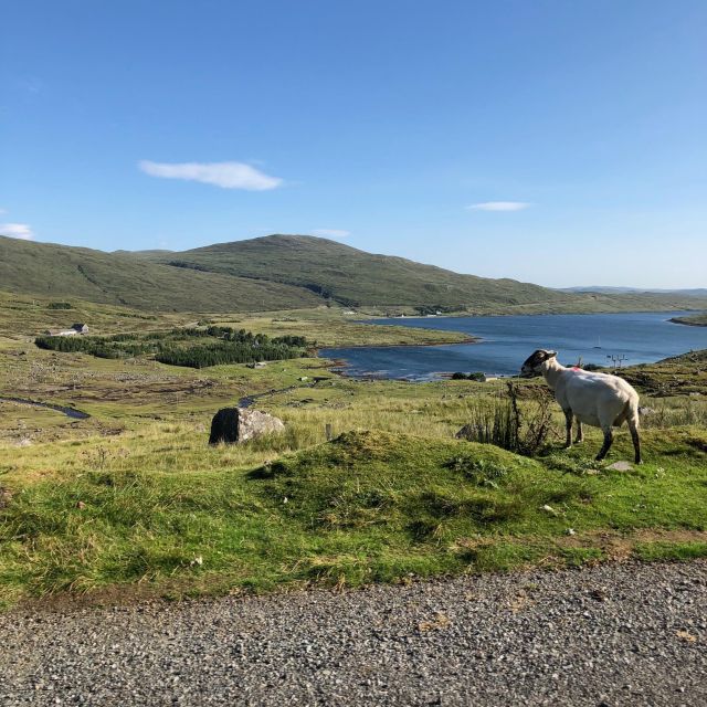 Highland Hidden Gems: Quaint Villages & Highland Cows - Frequently Asked Questions