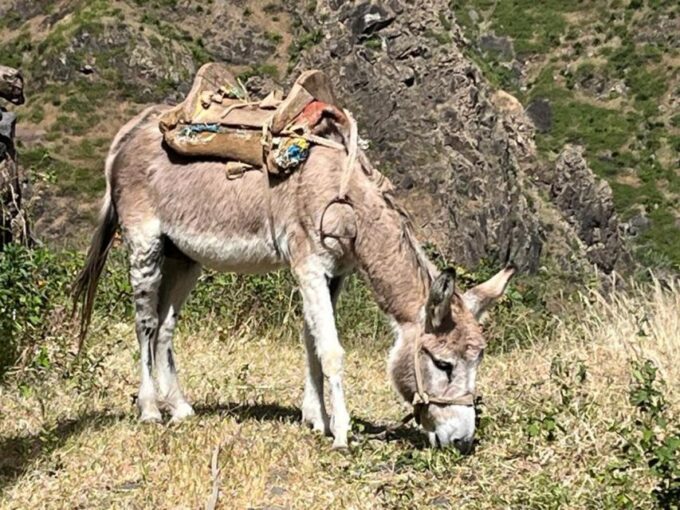 Hike Serra Malagueta / Silver Beach - Availability and Booking