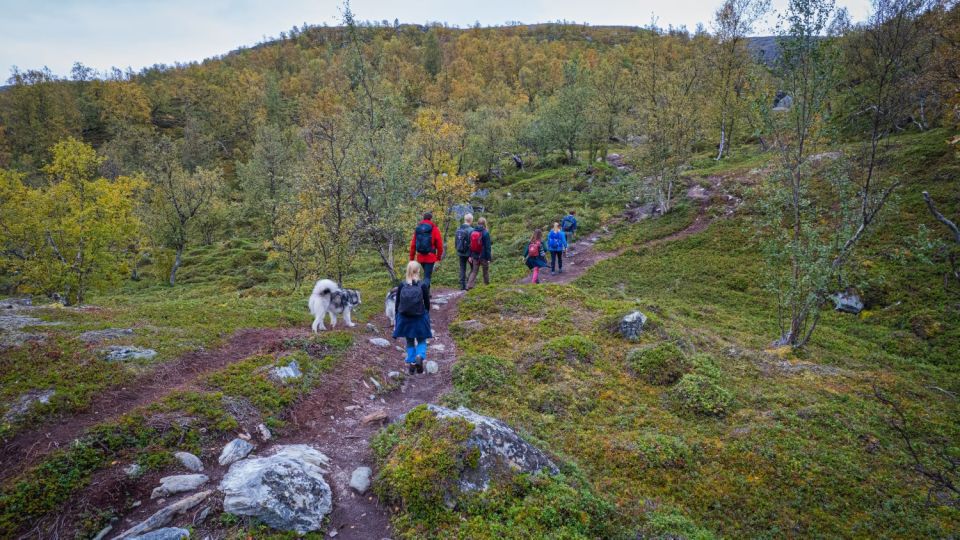 Hike to Orvvosfossen Waterfall - Safety Considerations