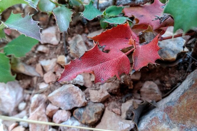 Hiking Experience in Bryce Canyon National Park - Tips for a Great Experience