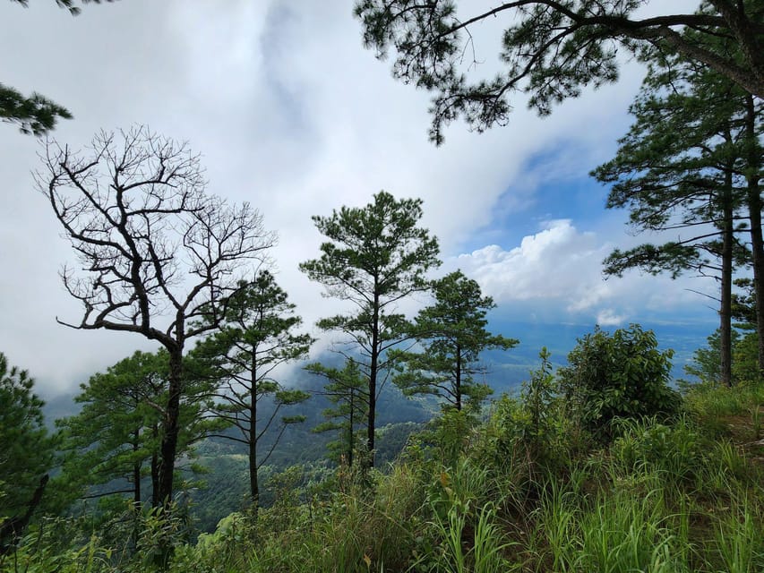 Hiking to Doi Suthep Peak& Delectable Cuisine & Wat Pha Lat. - Group Size and Language