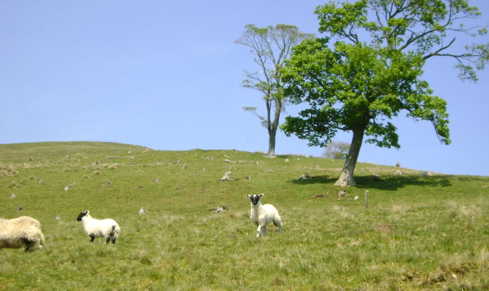 Hill & Nature Hike - Discover Real Edinburgh With a Local - Important Preparation Tips