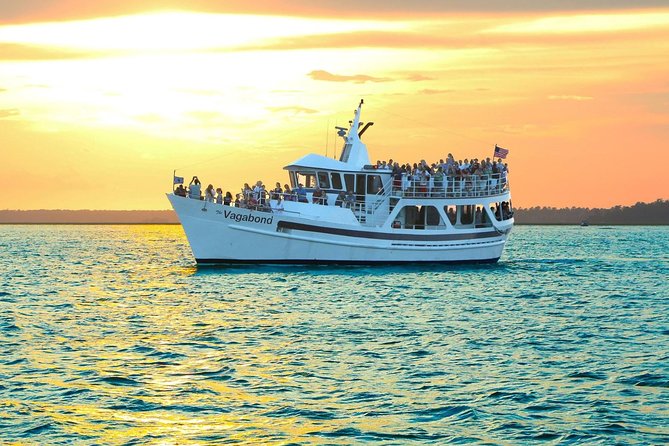 Hilton Head Sunset Dolphin Watching Cruise - Tips for an Enjoyable Experience