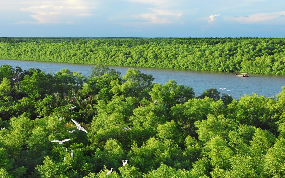 Ho Chi Minh: Can Gio Mangrove Biosphere Reserve 1 Day Tour - Important Restrictions