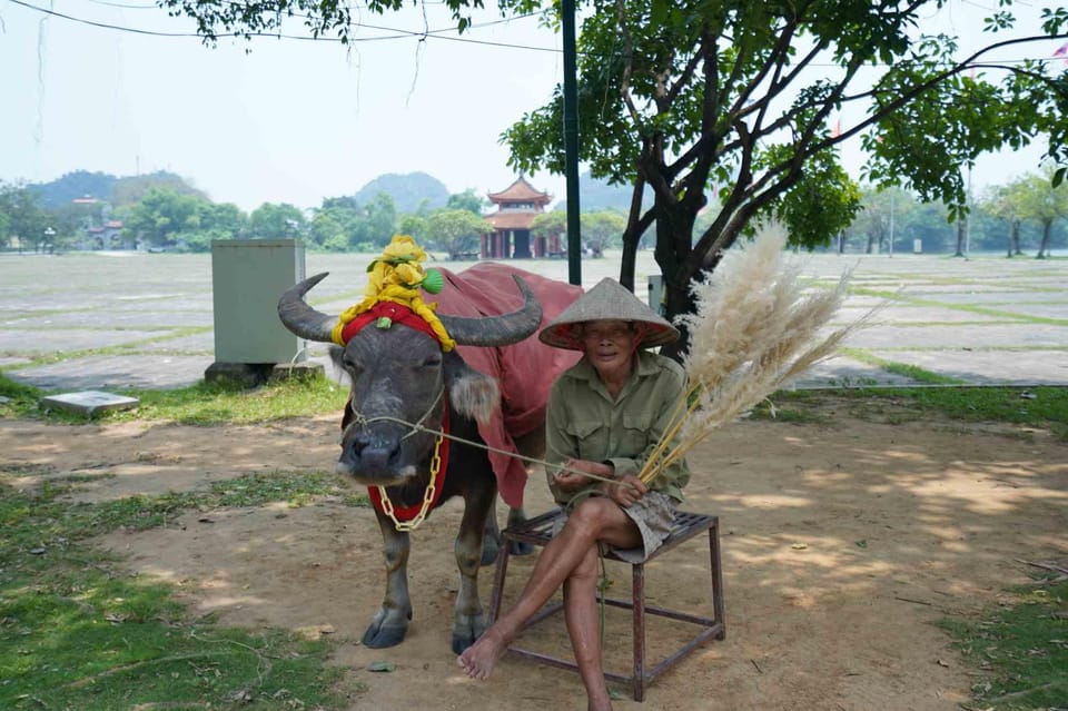 Hoa Lu & Tam Coc - Biking With Buffet Lunch - Return