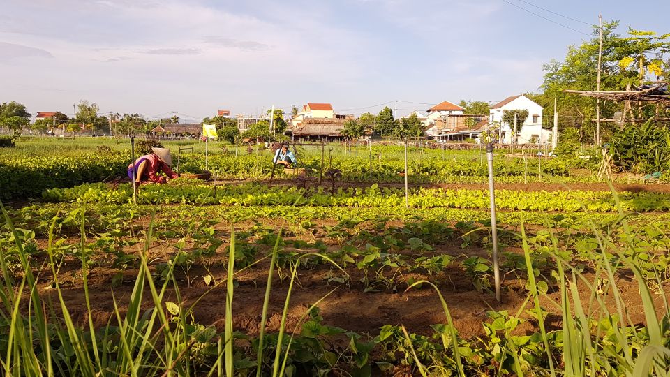 Hoi an Ancient Town and Traditional Village by Bicycle - Local Cuisine to Try