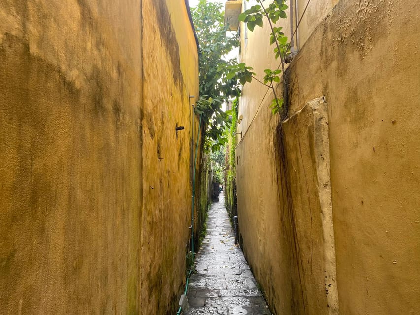 Hoi An: Basket Boat and Night Market Private Tour - Tour Inclusions