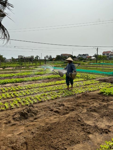 Hoi An Eco Bicycle Tour and Basket Boat Ride - Tips for Travelers