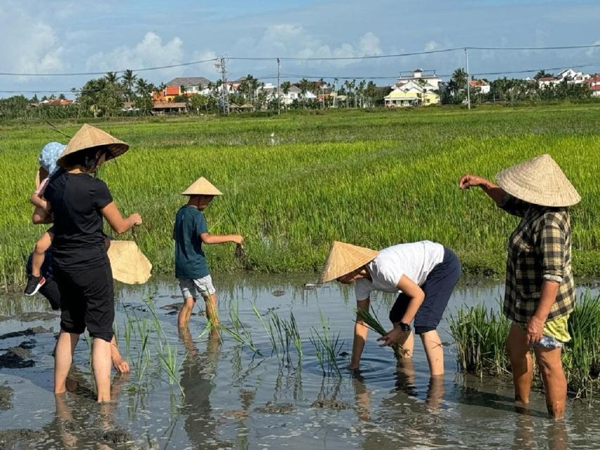 Hoi An : Experience Eco Fishing Village by Bike Tour - Frequently Asked Questions