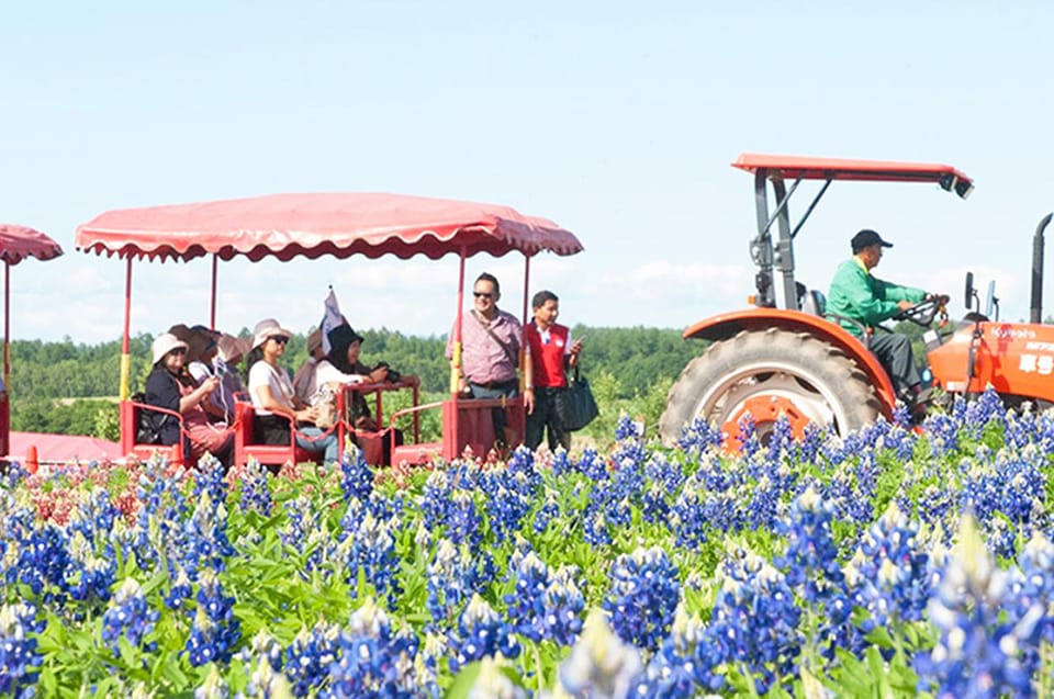 Hokkaido:Biei, Flower Sea Full-Day Tour With Lunch Options - Booking and Payment Options