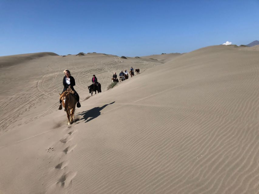 Horse Riding & Barbecue, Ritoque Sand Dunes & Beach F. Valpo - How to Book Your Experience