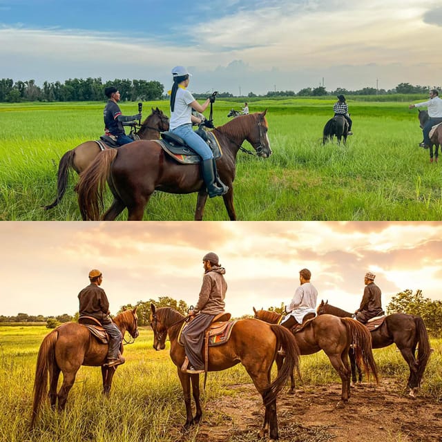 Horse Trail Riding Experience in Bangkok - Riding Instruction and Safety