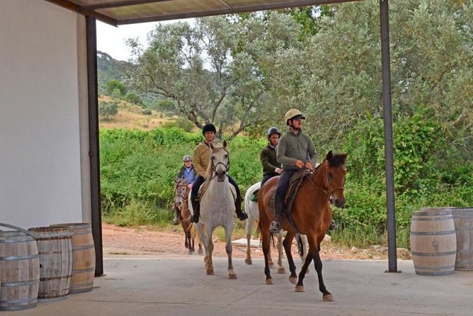 Horseback Riding In Lisbon - Arrábida - Louro Trail Mountain 5 - 6 Hours - Guest Reviews Breakdown