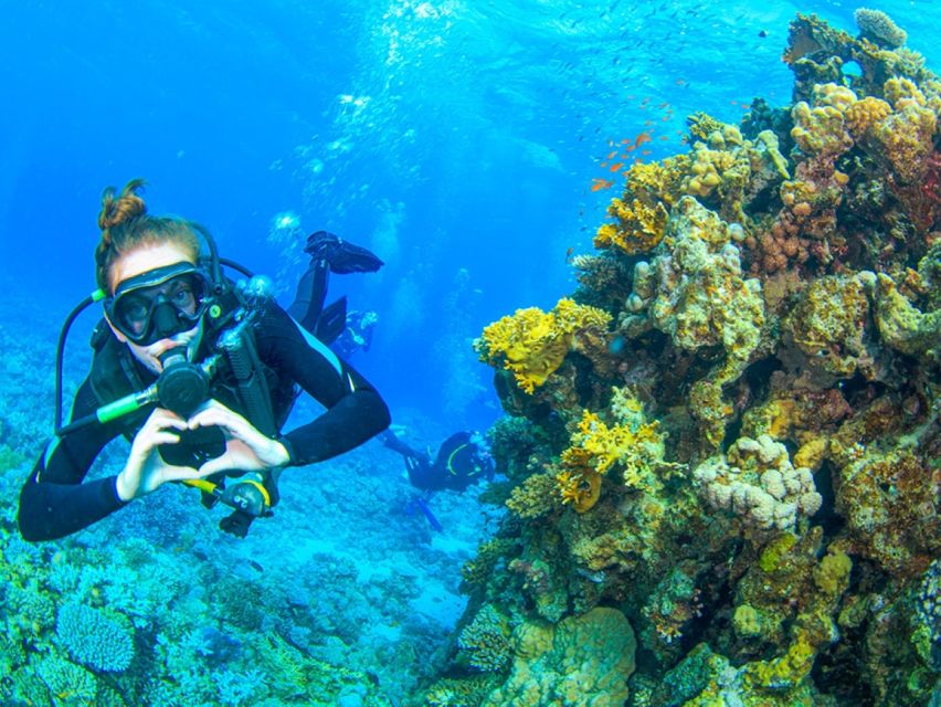 Hurghada: Diving & Snorkeling Cruise Tour W Lunch & Drinks - Safety Guidelines