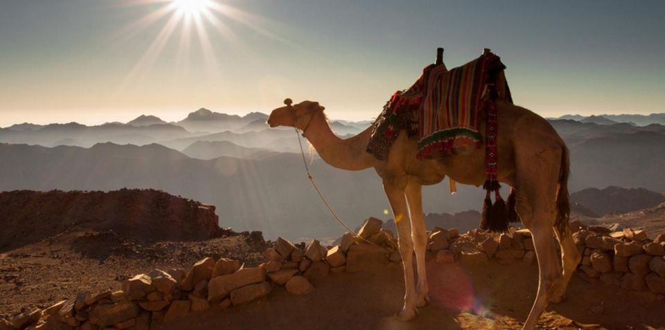 Hurghada: Sea & Desert Camel Ride W/Dinner, Show, Stargazing - Recommended Preparations