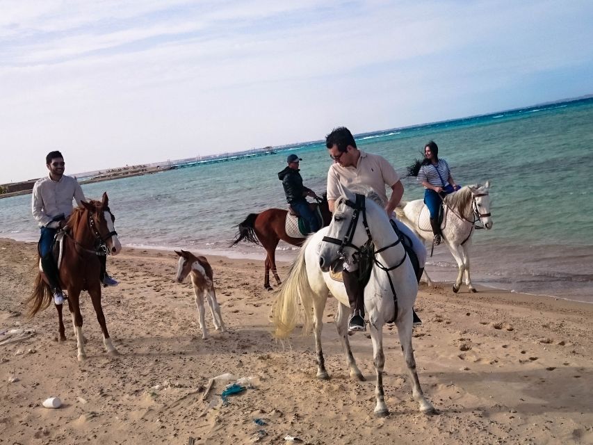 Hurghada: Sunset Sea, Desert Horse W Opt, Dinner, Stargazing - Enjoying the Sunset Dinner