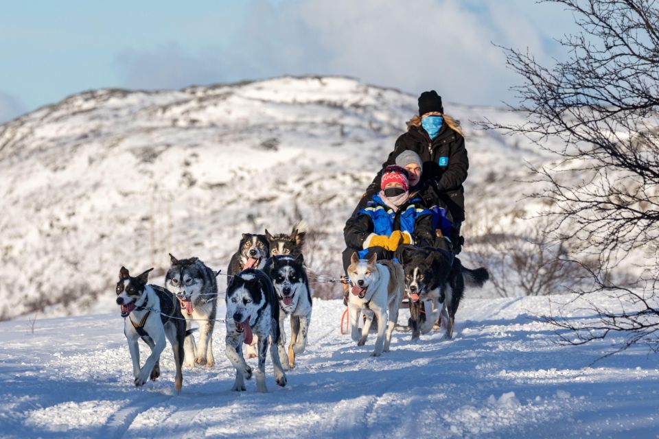 Husky Safari 1 Hour (10 Km) Small-Group Mushing Experience - Tips for a Great Experience