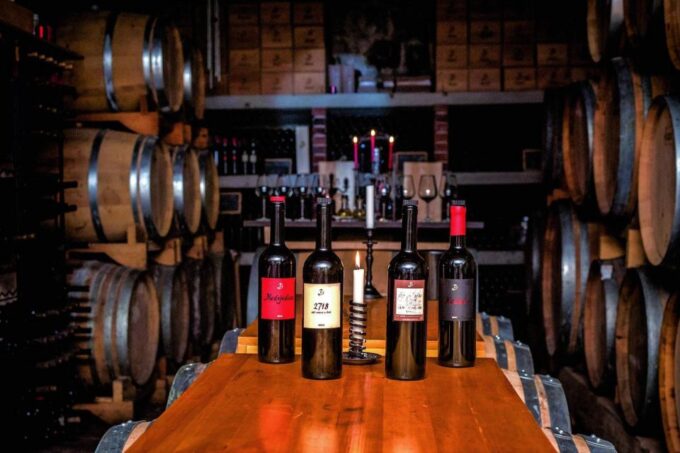 Hvar: Island Tour With Wine and Olive Oil Tasting - Customer Feedback