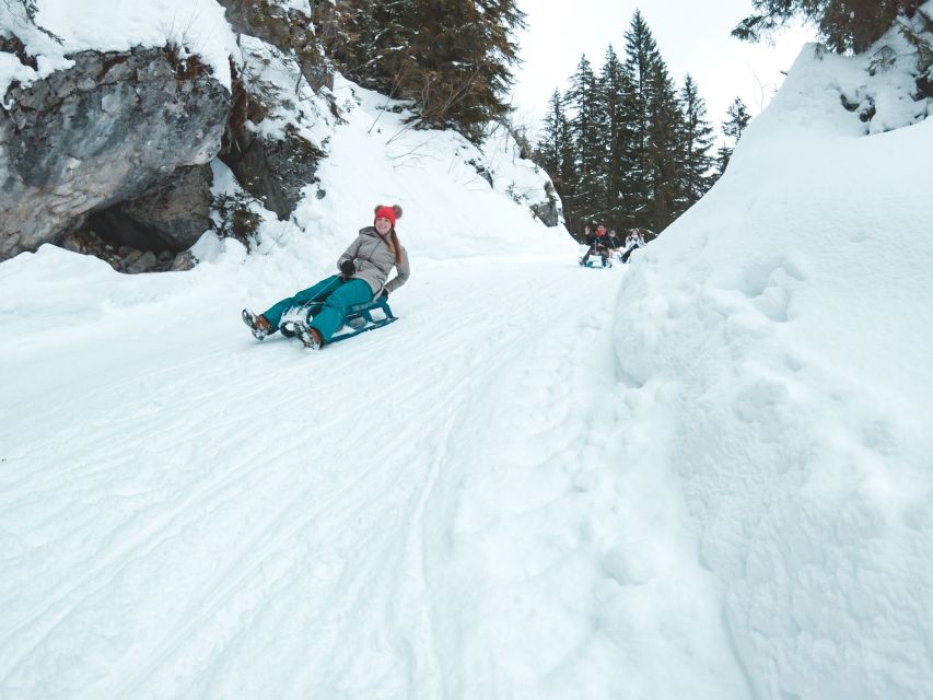 Interlaken: Guided Sledging Adventure - Additional Activities Available