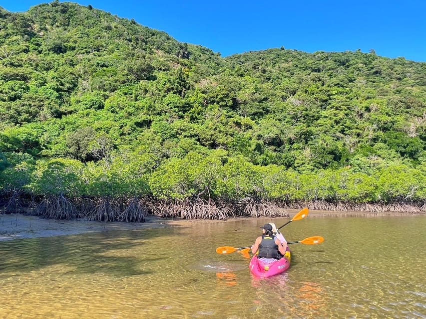 Iriomote Island: Kayaking and Snorkeling Tour - Booking Information