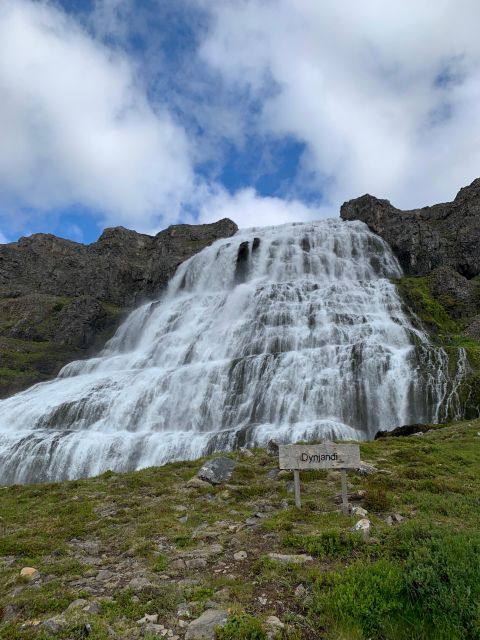 Isafjordur: Dynjandi Waterfall Tour and Icelandic Farm Visit - Customer Feedback