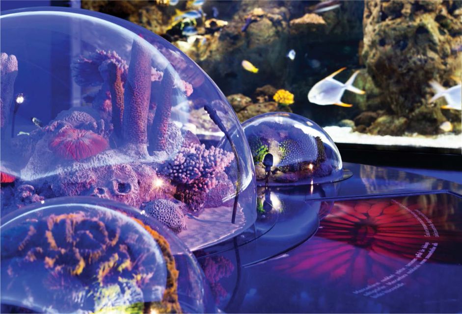 Istanbul Aquarium and Aqua Florya Shopping Mall Tour - Inclusions and Exclusions