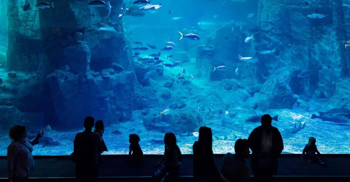 Istanbul: Aquarium Ticket With Shuttle Bus From Sultanahmet - Booking Process