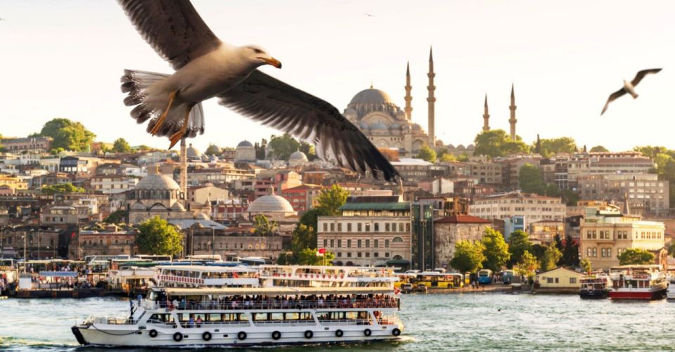 Istanbul: Bosphorus And Golden Horn Morning or Sunset Cruise - Tips for First-Time Visitors