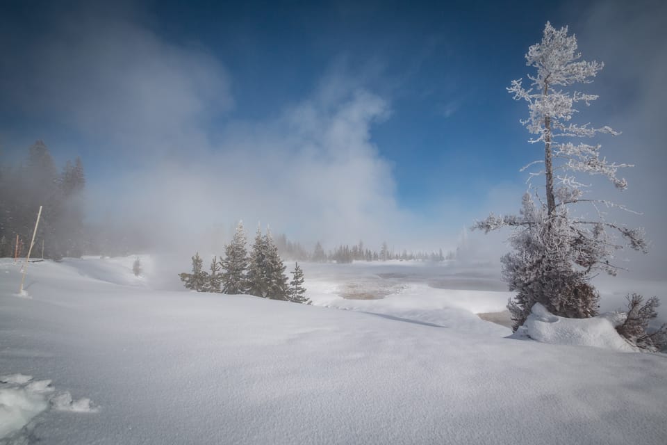 Jackson: Yellowstone Snowcoach Tour to Old Faithful - What to Expect on the Tour