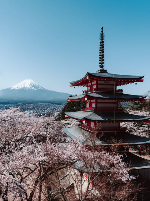 Japan Photography Tour : Iconic Places and Views - Customer Reviews