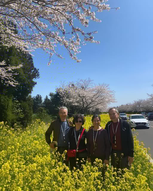 Jeju Hidden Gem: All-inclusive Private Tour(Southern Gems) - Explore Jejus Hidden Gems