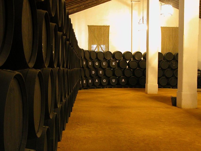 Jerez: Álvaro Domecq Wineries Guided Tour With Wine Tasting - Frequently Asked Questions