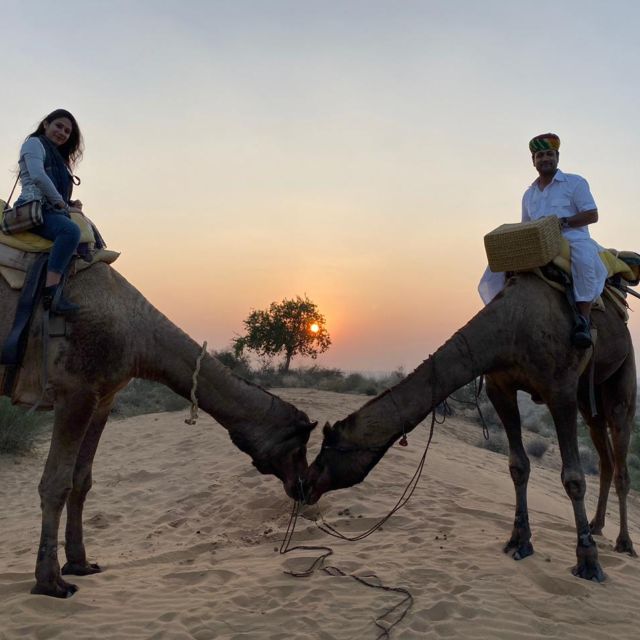 Jodhpur Camel Safari & Overnight Stay In Desert With Sumer - Best Time to Visit