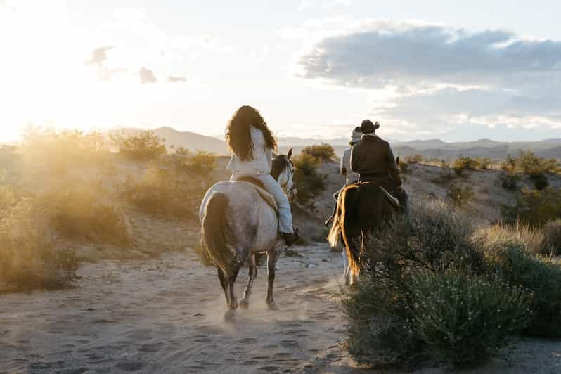 Joshua Tree: Horseback Trail Riding Adventure With a Guide - Scenic Landscapes of Joshua Tree