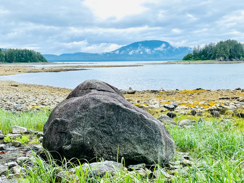 Juneau: Rainforest Photo Safari on a Segway - Customer Feedback