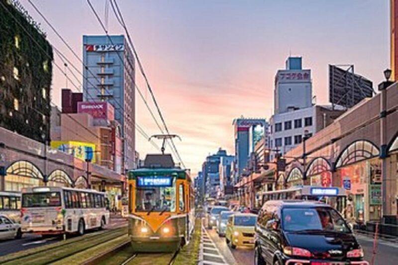 Kagoshima Half-Day Sightseeing Tour - Accessibility Features