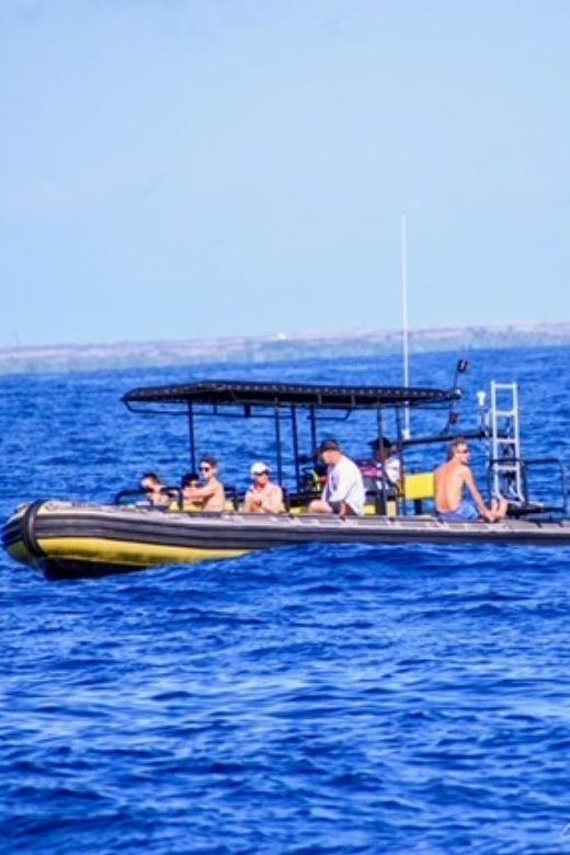 Kailua-Kona: Kealakekua Bay and Captain Cook Monument Tour - Booking Information